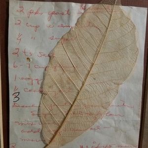 Meet your Posher, Leah